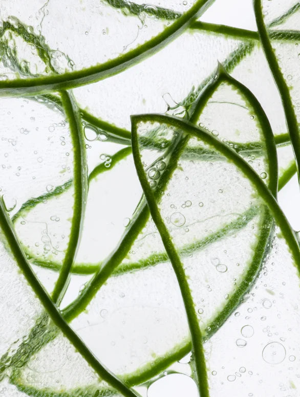SolSkin Anti-Age Hydrogel Eye Patches