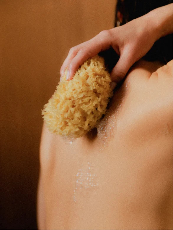 SolSkin Botanical Coffee Scrub