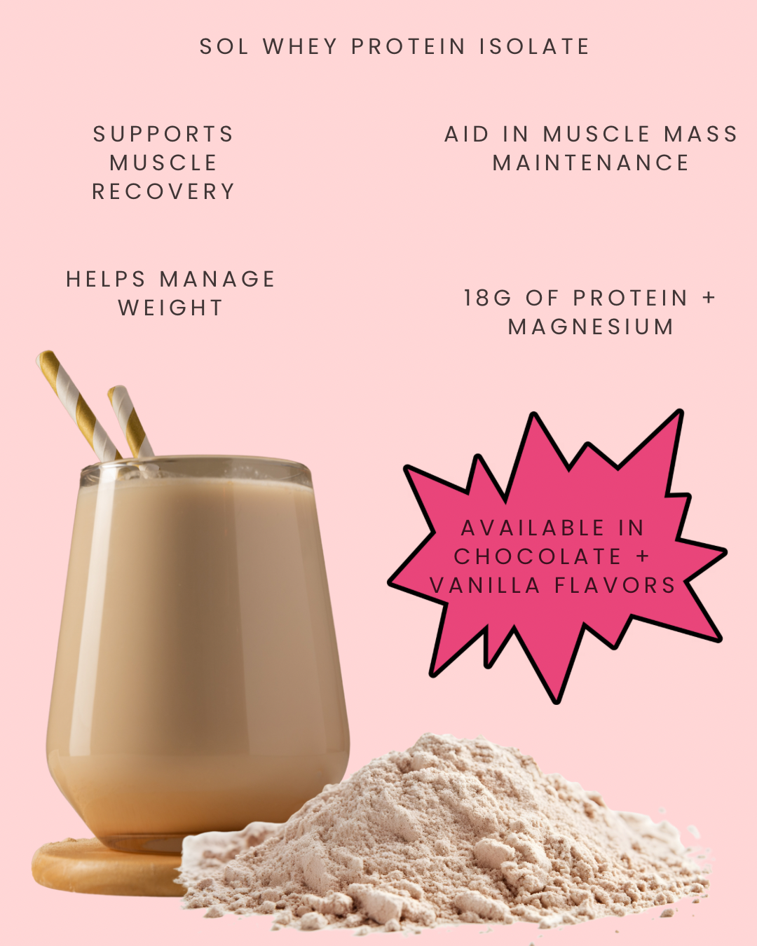 Sol 100% Whey Protein Isolate (Chocolate)