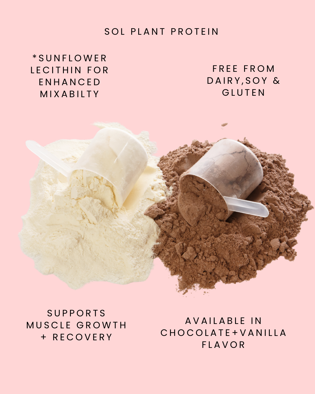 Sol Plant Protein (Chocolate)